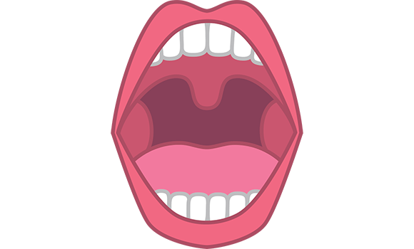 口蓋扁桃、口蓋垂等の肥大